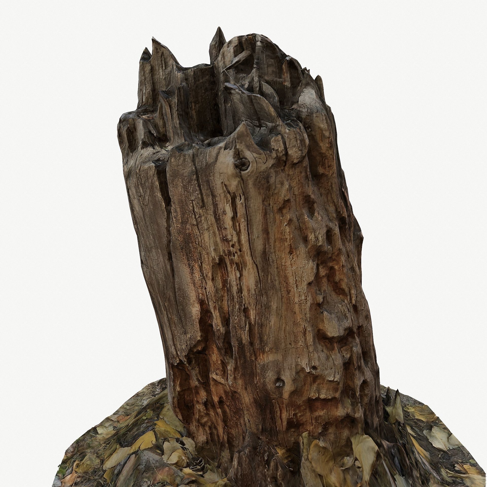 3d scan BPR tree stump 09 Low-poly 3D model_9