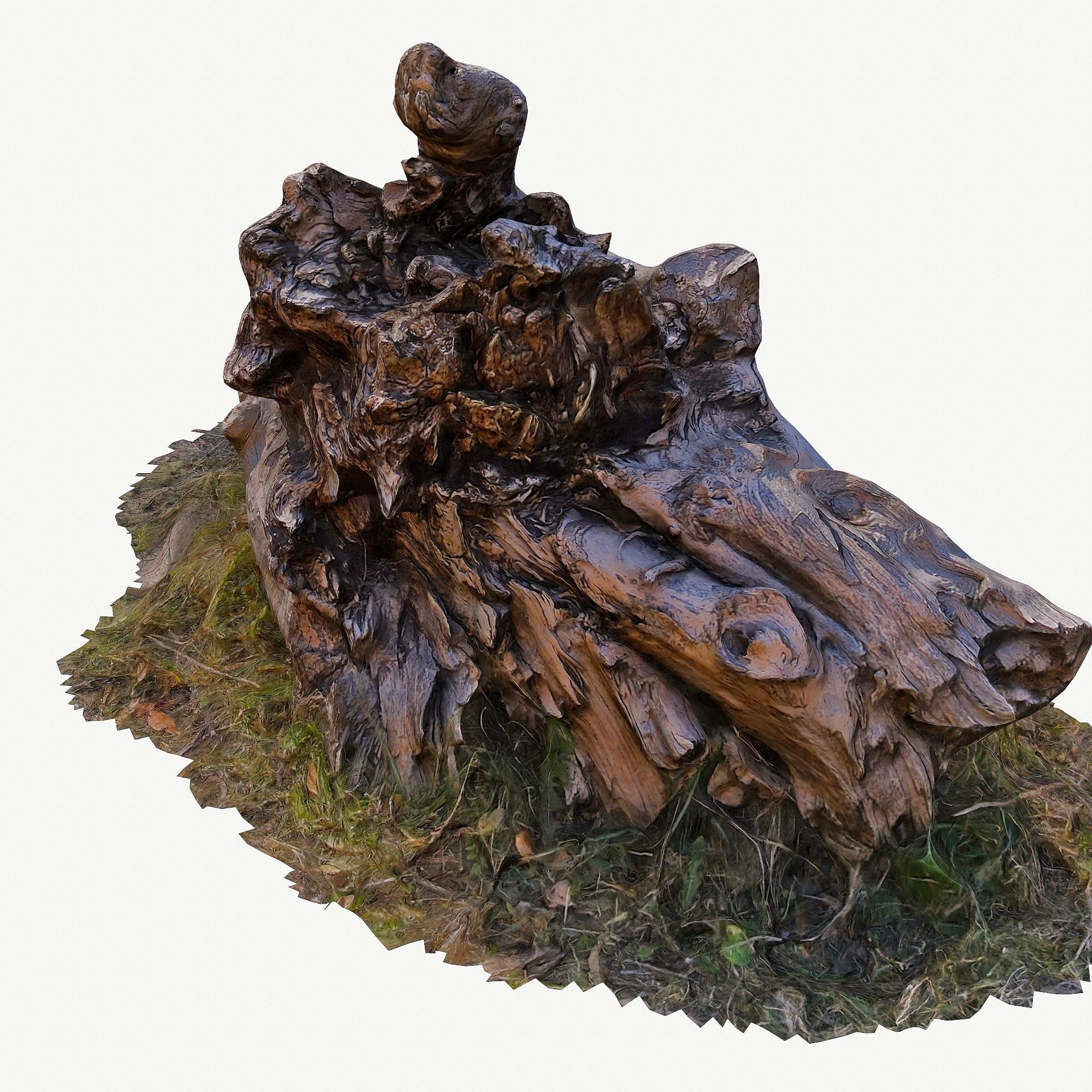 3d scan BPR tree stump 10 Low-poly 3D model_4