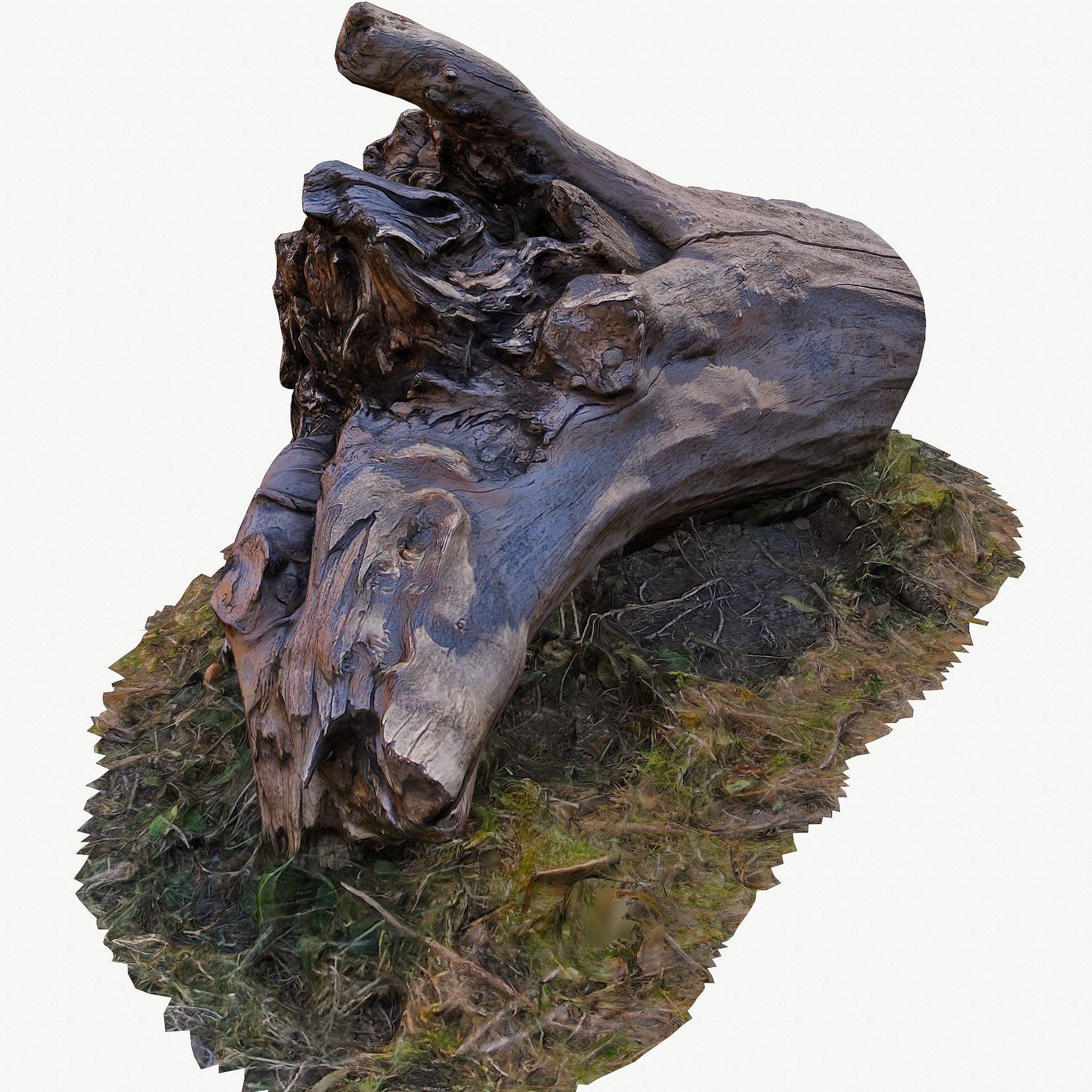 3d scan BPR tree stump 10 Low-poly 3D model_5