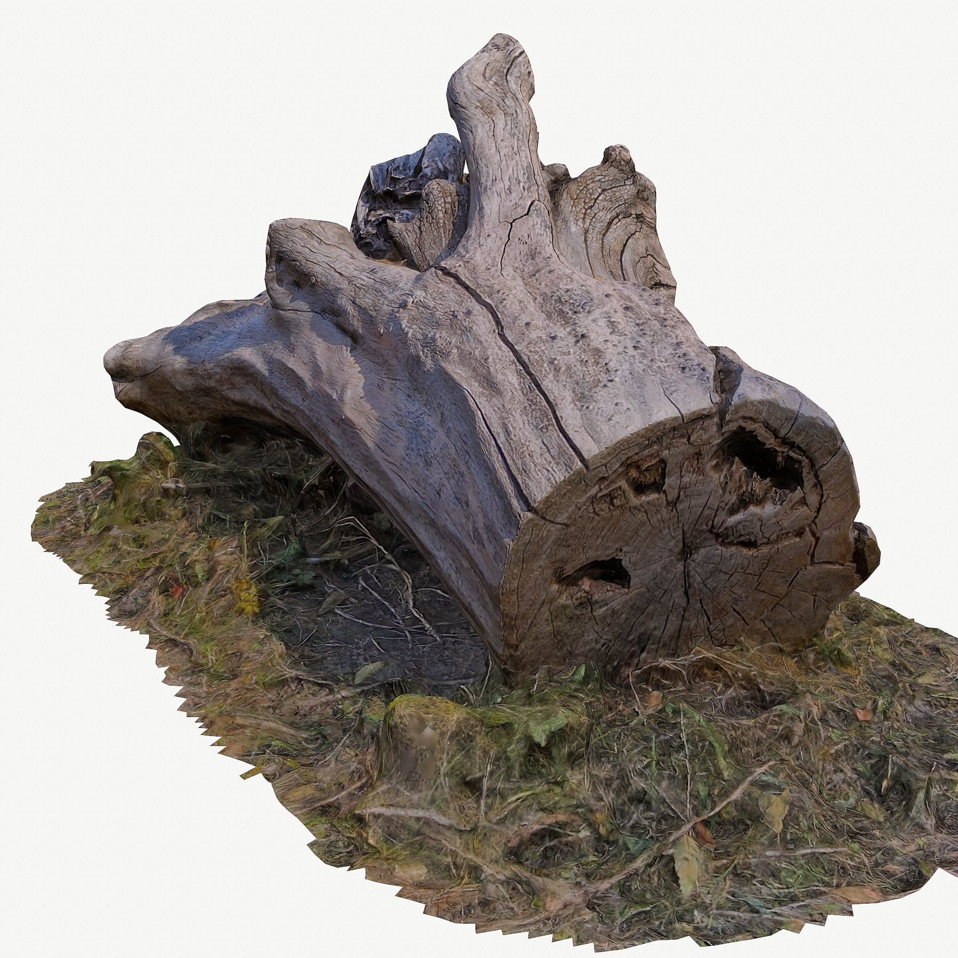 3d scan BPR tree stump 10 Low-poly 3D model_7