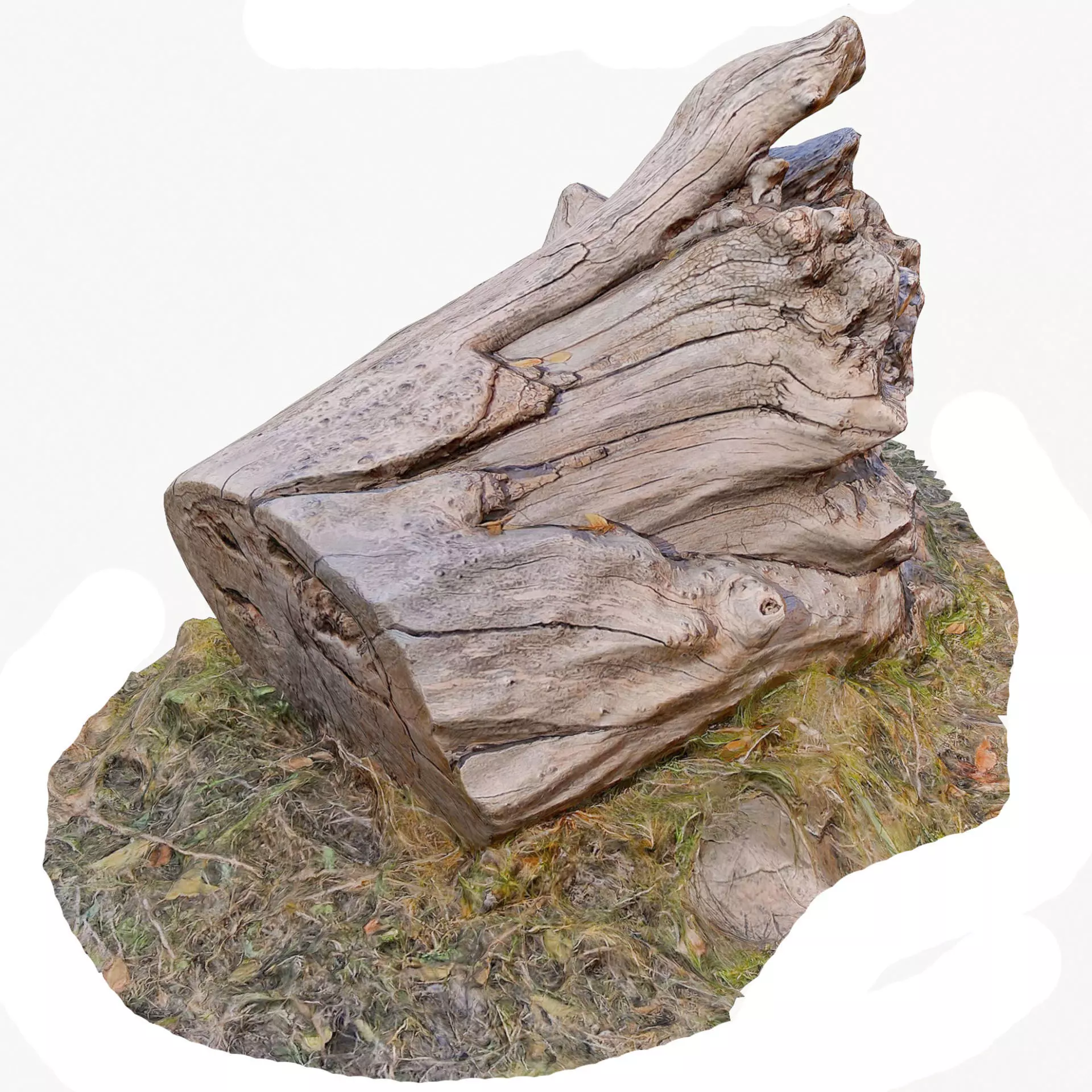 3d scan BPR tree stump 10 Low-poly 3D model_0