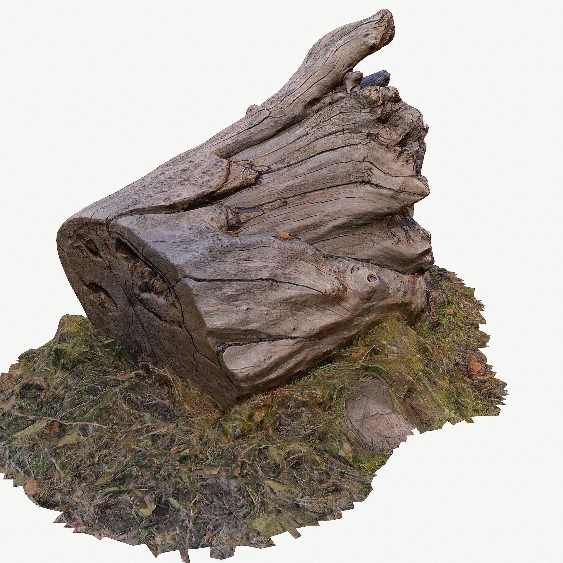 3d scan BPR tree stump 10 Low-poly 3D model_8