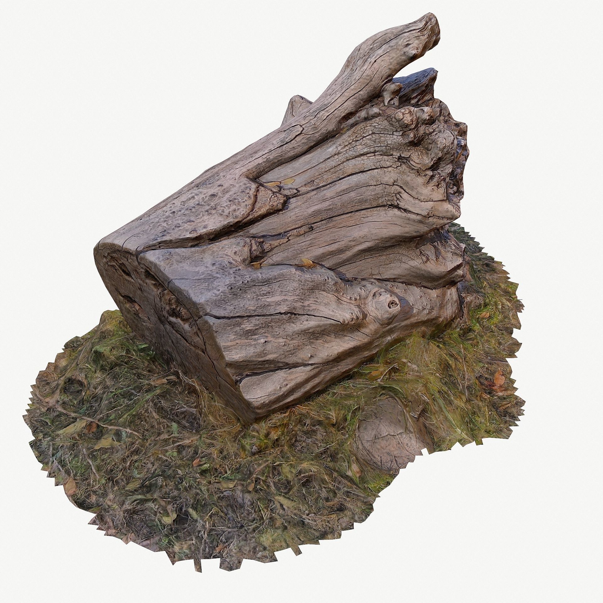 3d scan BPR tree stump 10 Low-poly 3D model_2