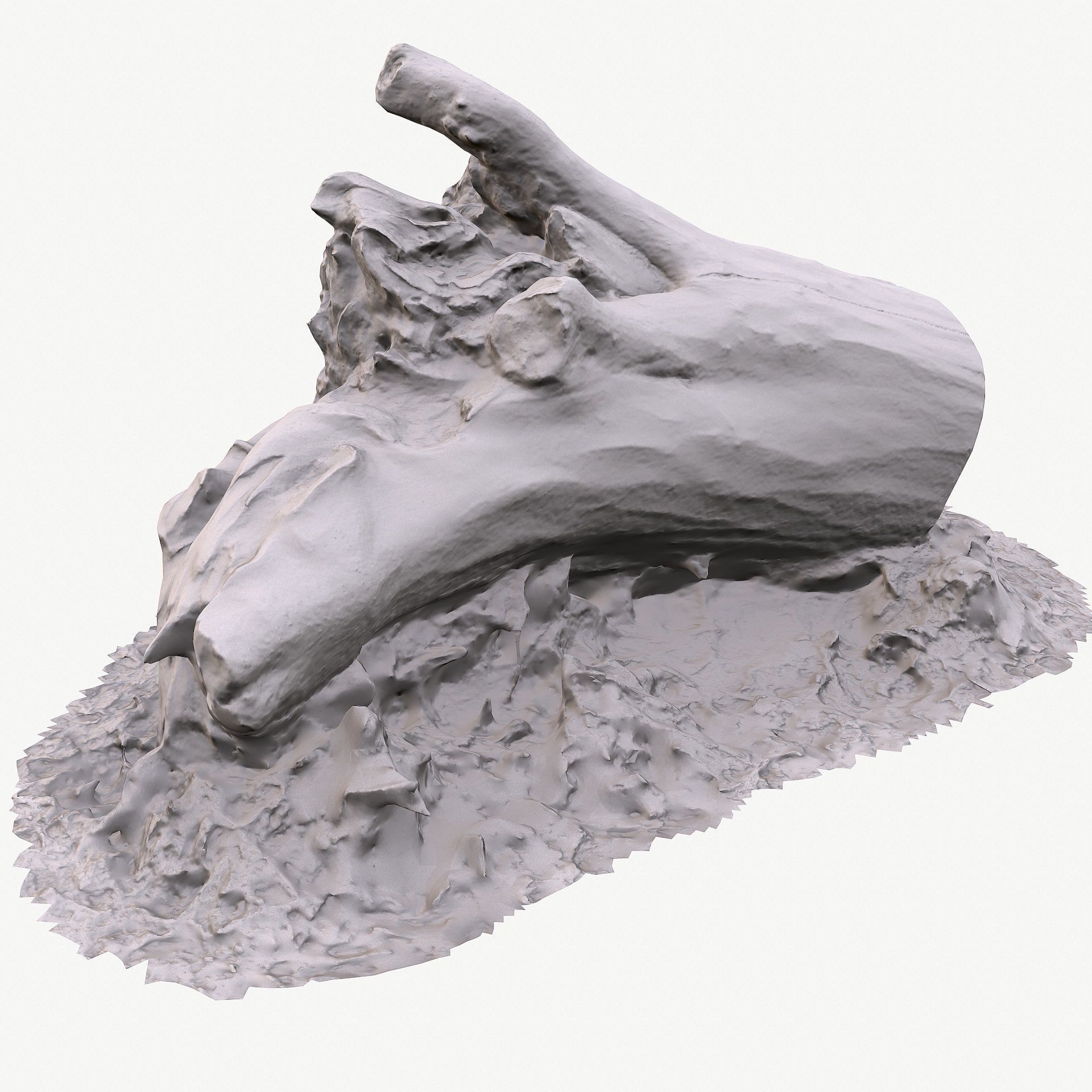 3d scan BPR tree stump 10 Low-poly 3D model_19