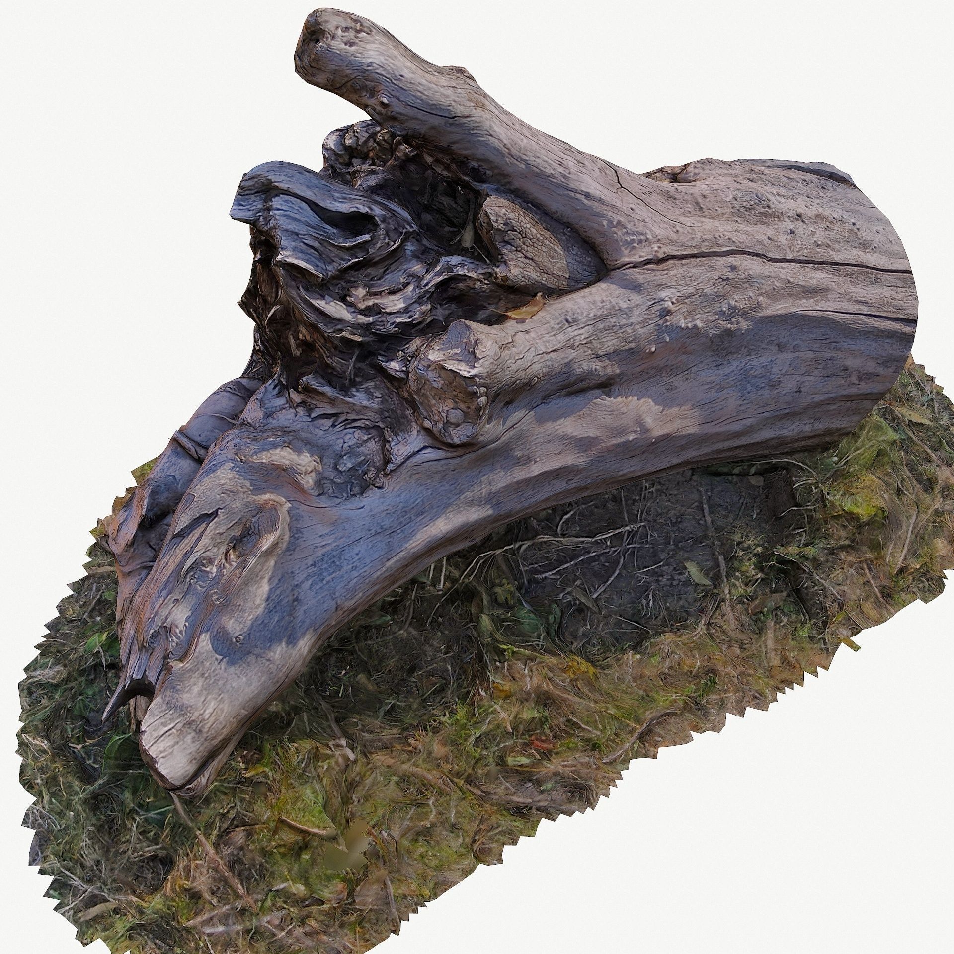 3d scan BPR tree stump 10 Low-poly 3D model_11