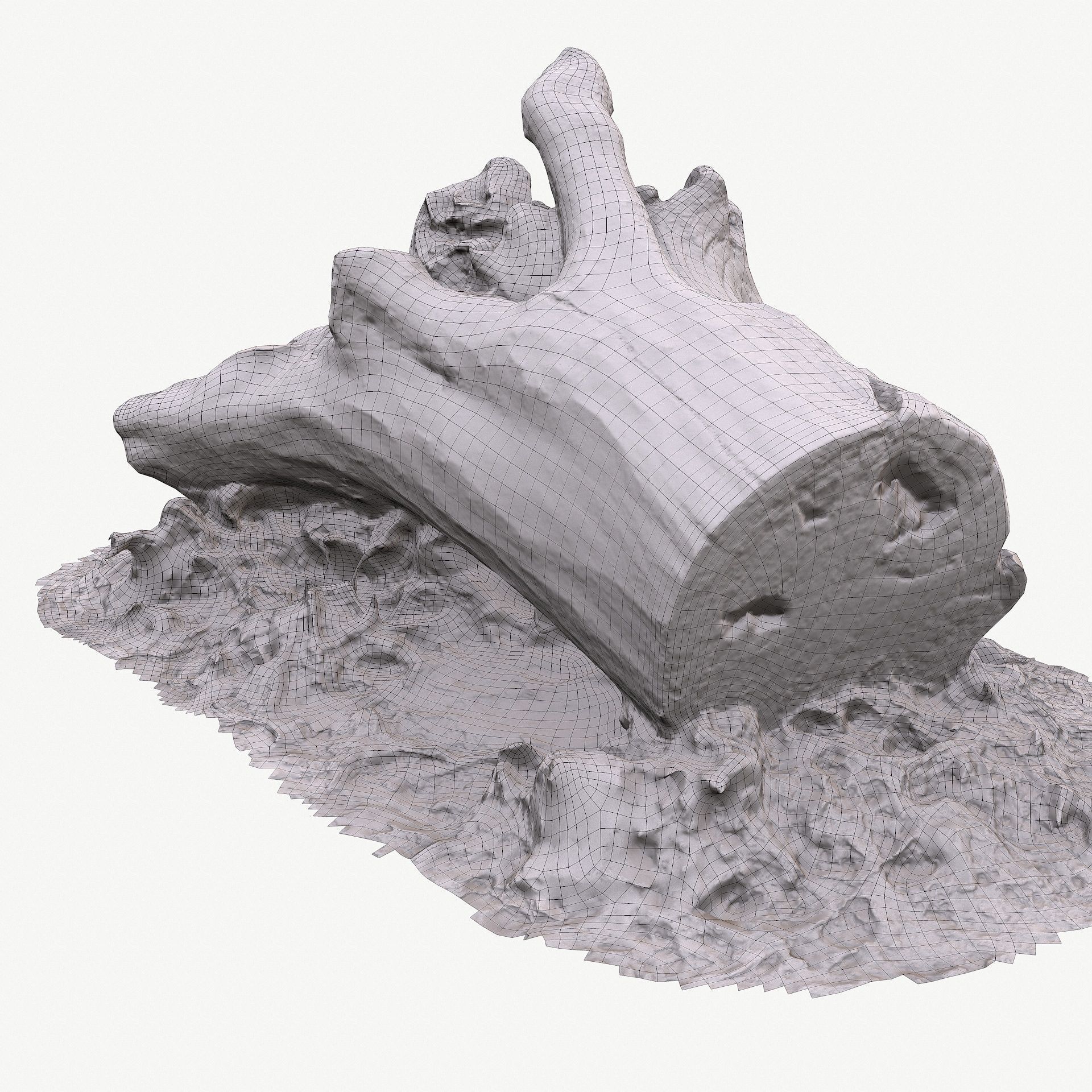 3d scan BPR tree stump 10 Low-poly 3D model_21