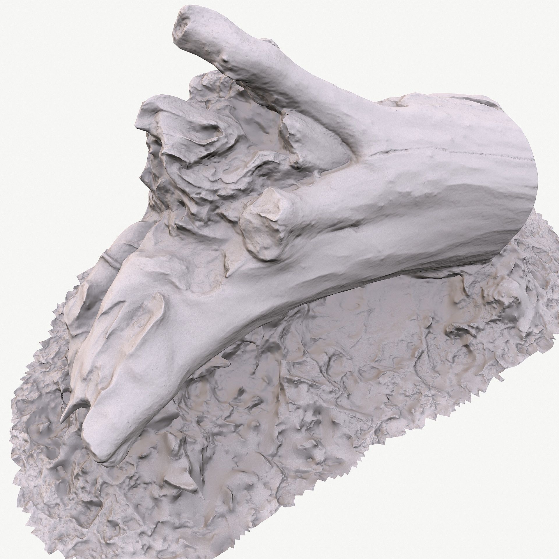 3d scan BPR tree stump 10 Low-poly 3D model_12