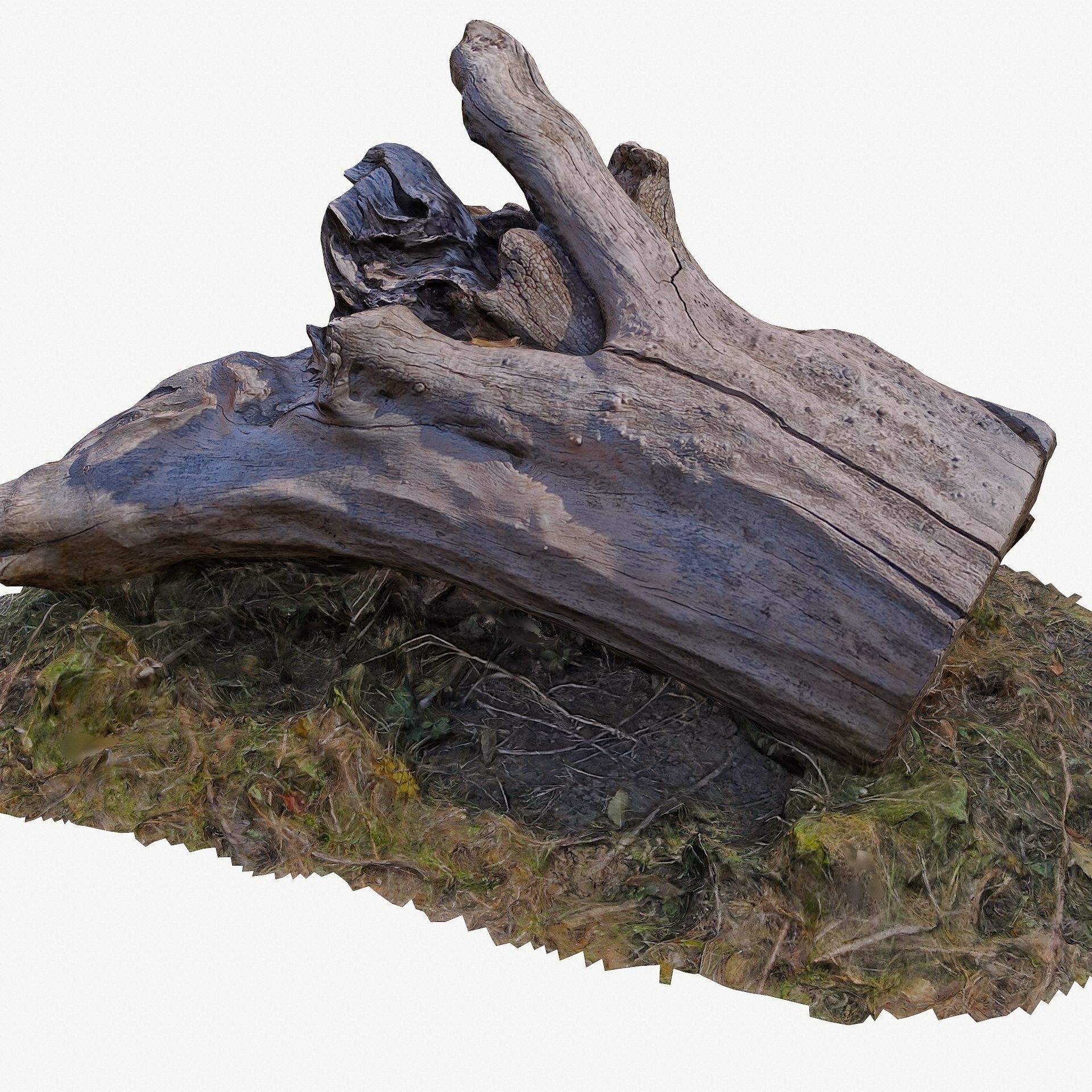 3d scan BPR tree stump 10 Low-poly 3D model_6
