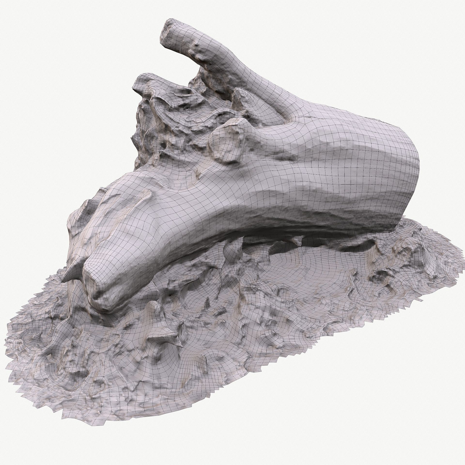 3d scan BPR tree stump 10 Low-poly 3D model_20