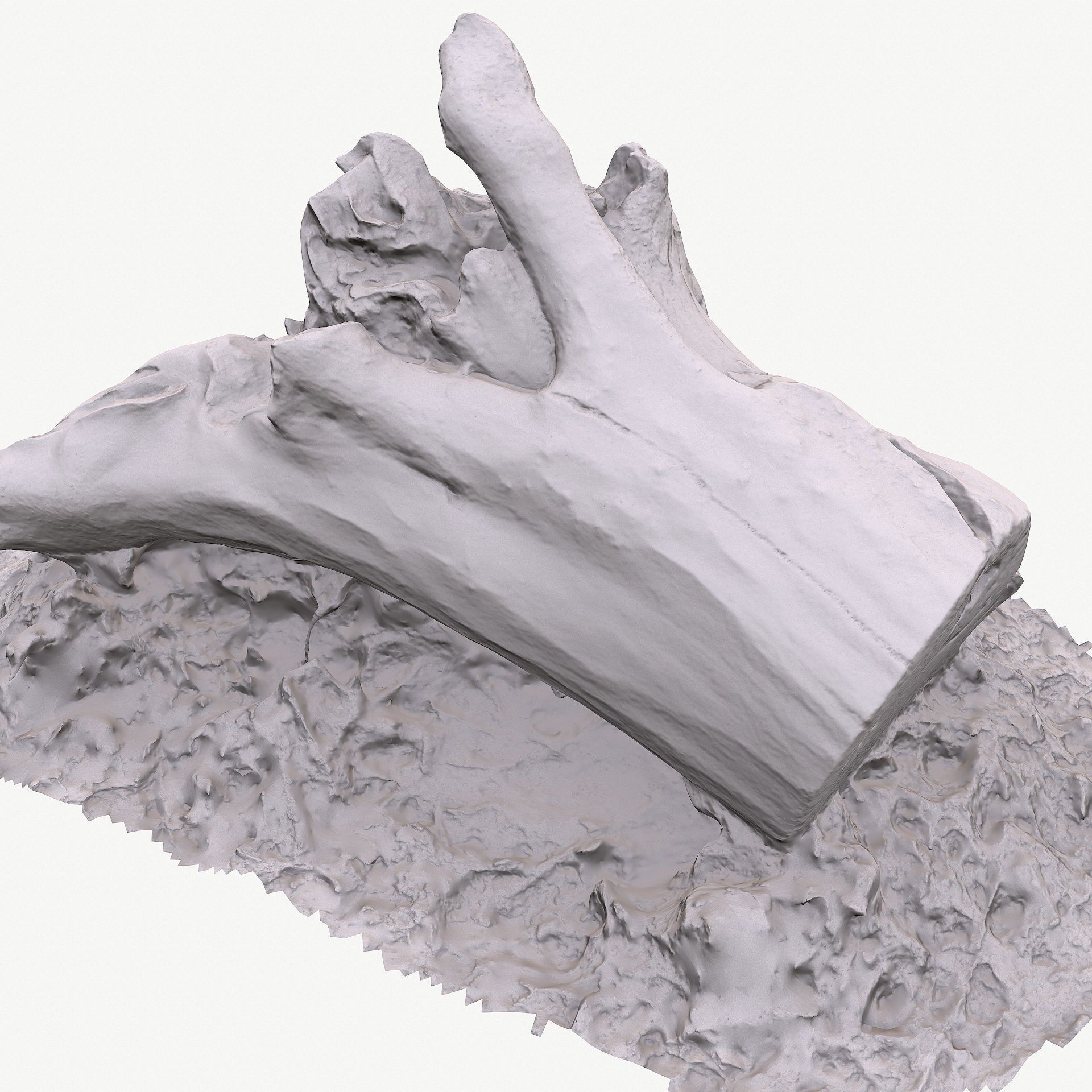 3d scan BPR tree stump 10 Low-poly 3D model_13