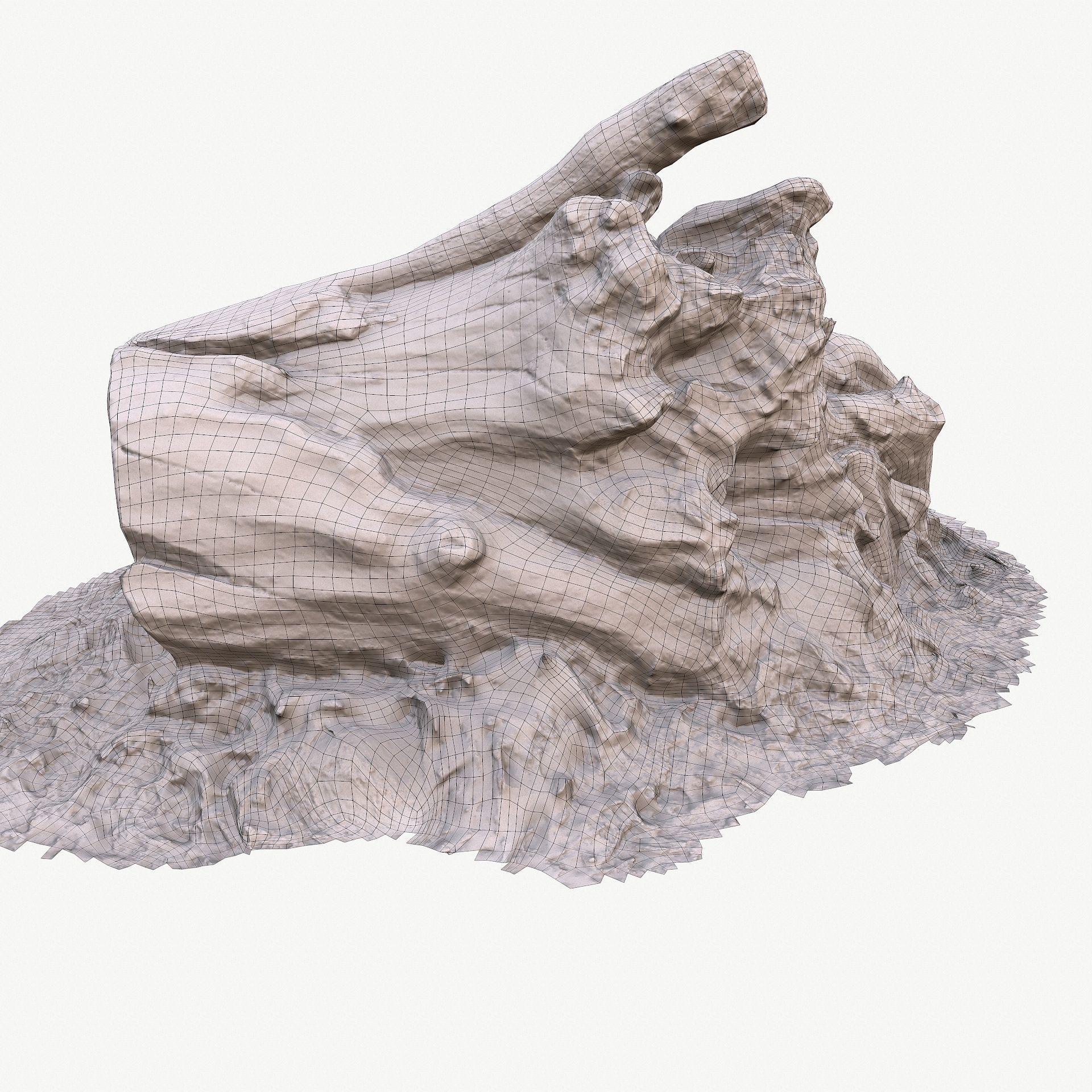 3d scan BPR tree stump 10 Low-poly 3D model_23