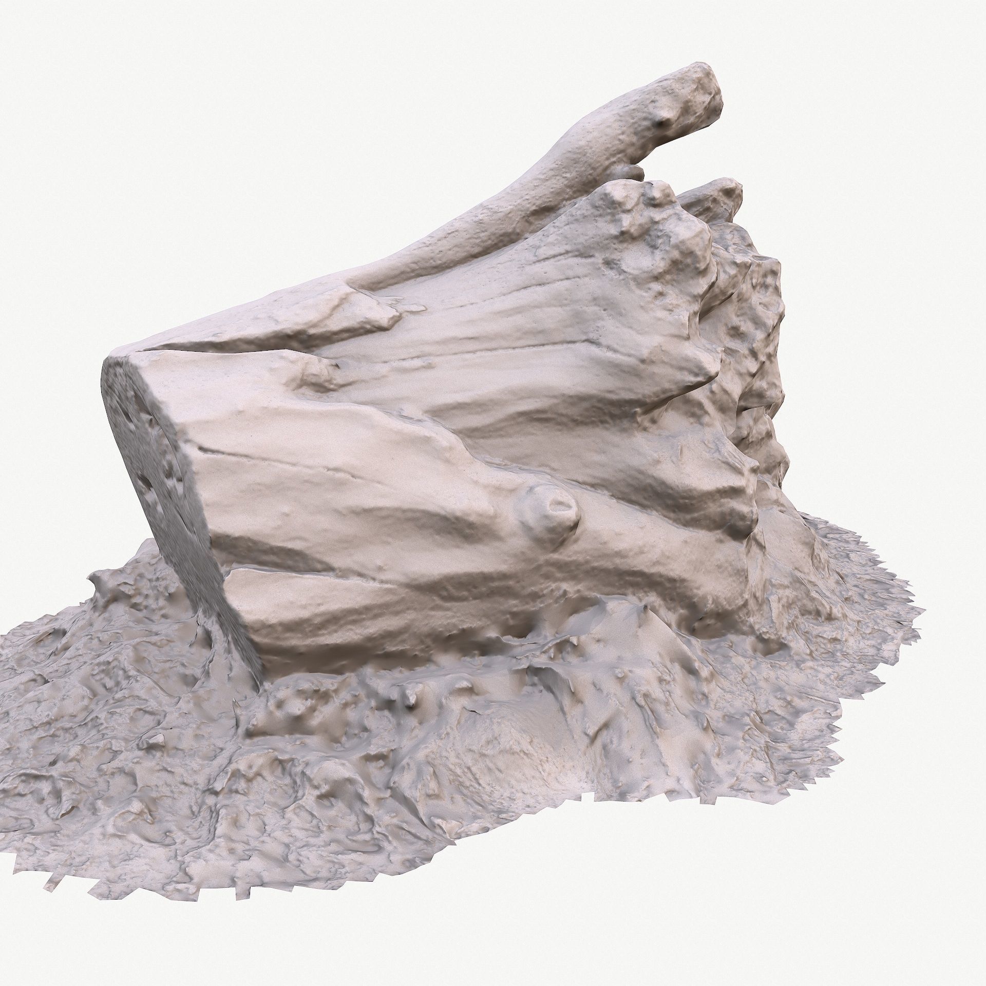 3d scan BPR tree stump 10 Low-poly 3D model_16