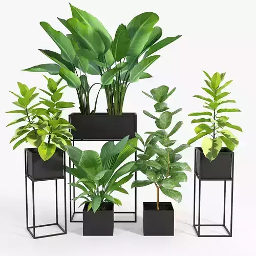 Three Black Standing Planters