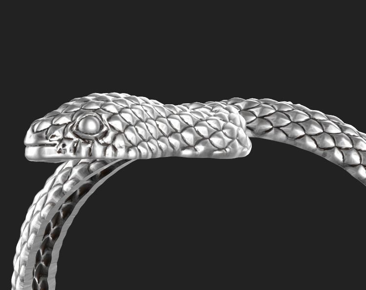 snake ring Silver Gold  Print 3D print model_13