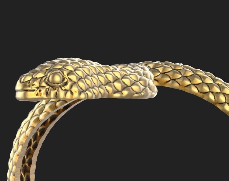 snake ring Silver Gold  Print 3D print model_6