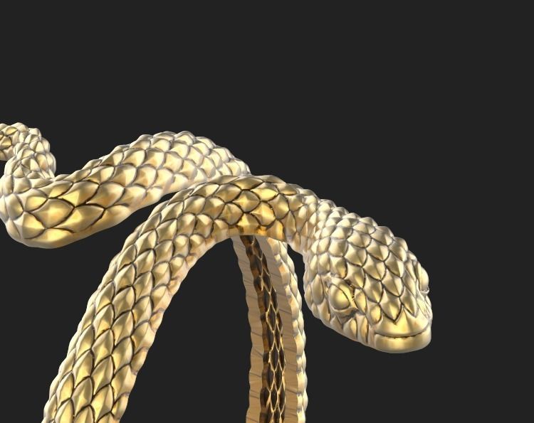 snake ring Silver Gold  Print 3D print model_7