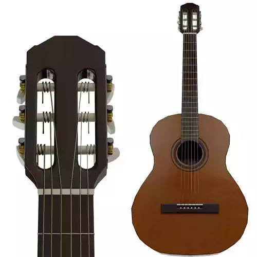 Guitar acoustic