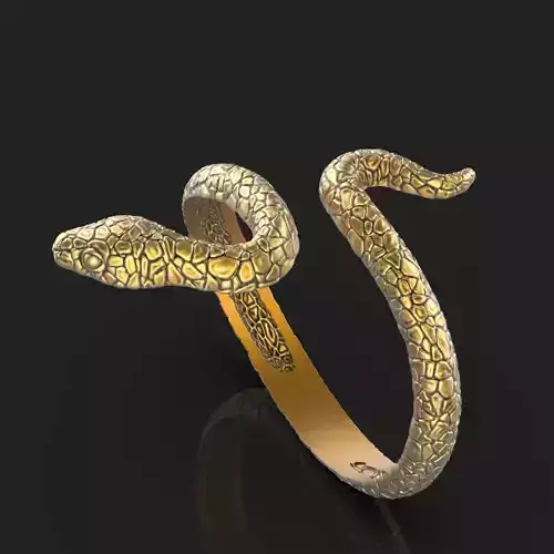 snake ring Silver Gold  Print