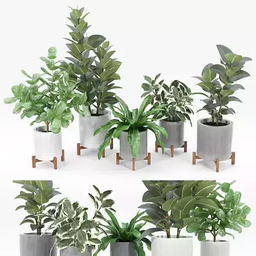 Bungalow Planter Collection