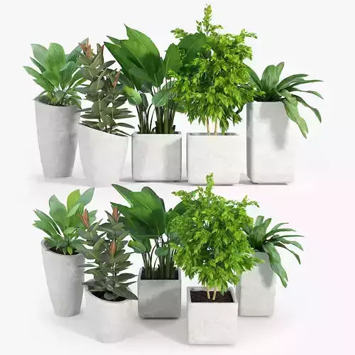 Set Crate and Barrel three