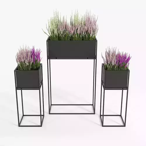 Calluna three metal planters with flowers 3D model