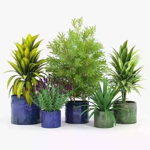 Maya Blue Ceramic Planters Maya Green Ceramic Planters