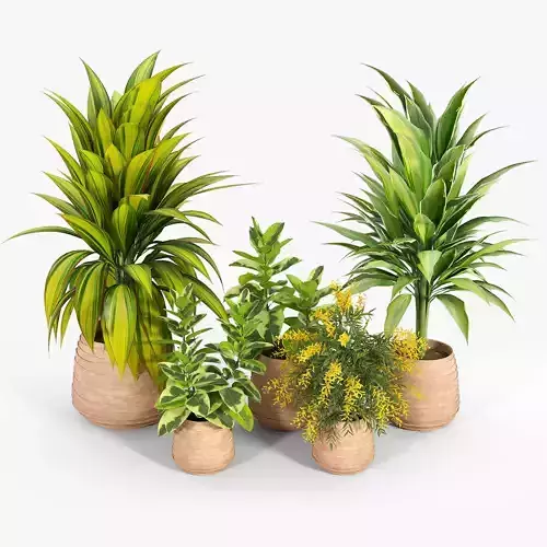 Tula Planter Collection