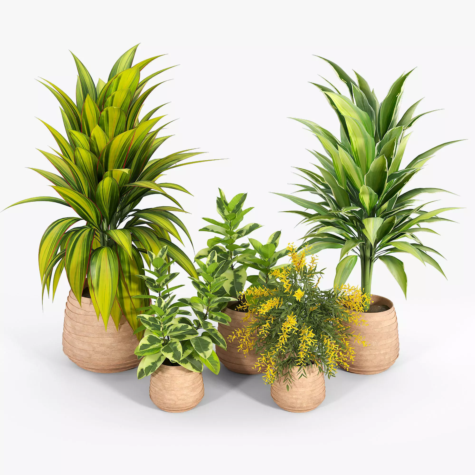 Tula Planter Collection 3D model