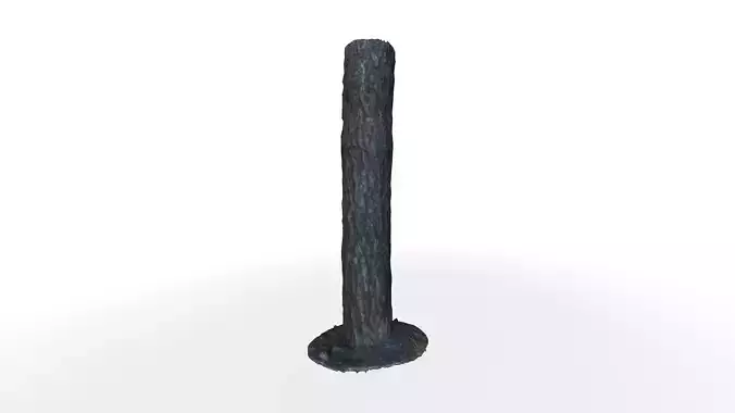 PBR Pine Tree 8K Game Ready 3D Model