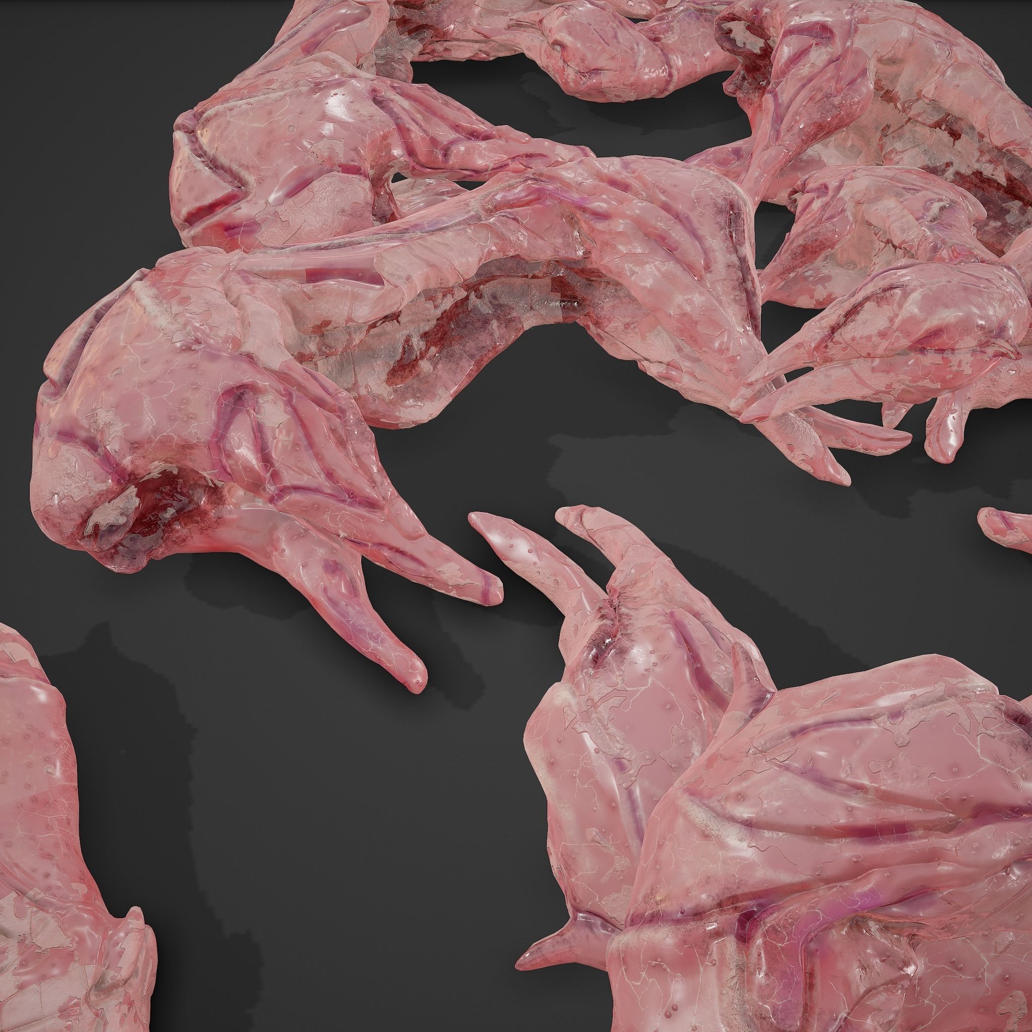 Skinned Rabbit Meat  3D model_15