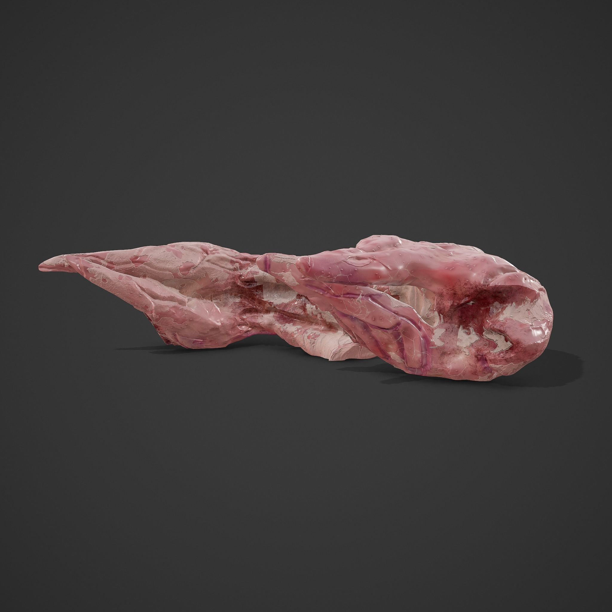 Skinned Rabbit Meat  3D model_14