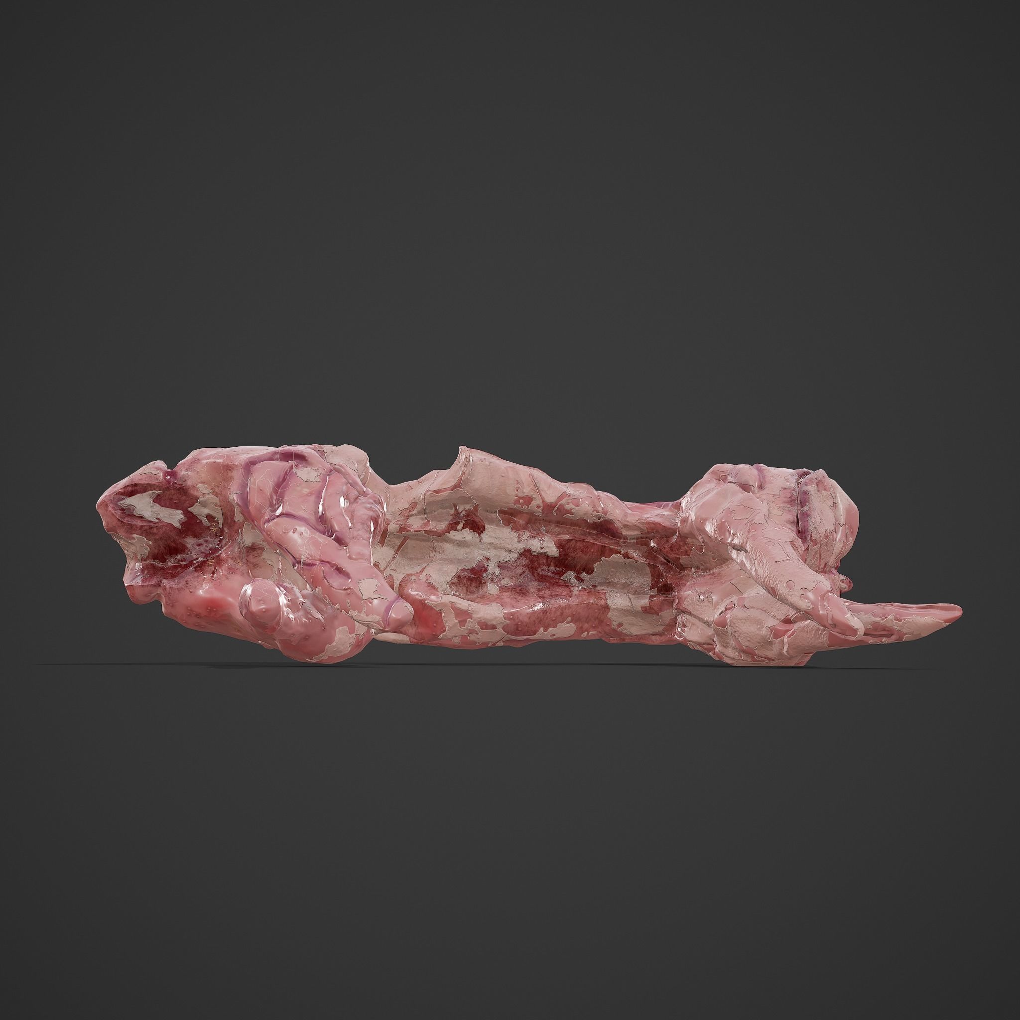 Skinned Rabbit Meat  3D model_10