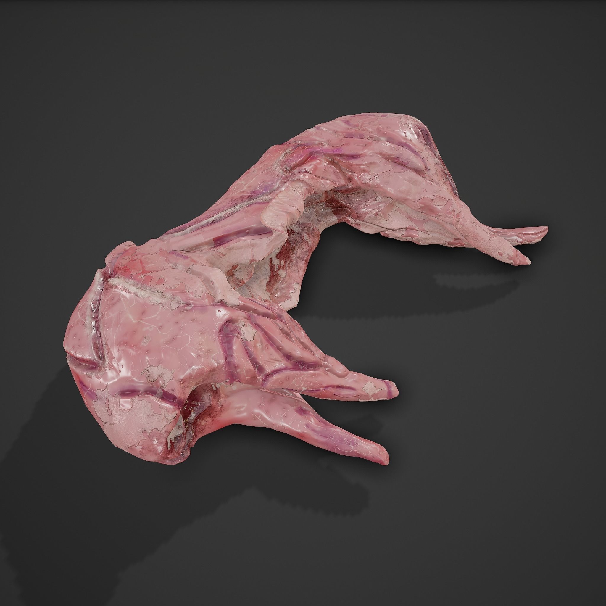 Skinned Rabbit Meat  3D model_13