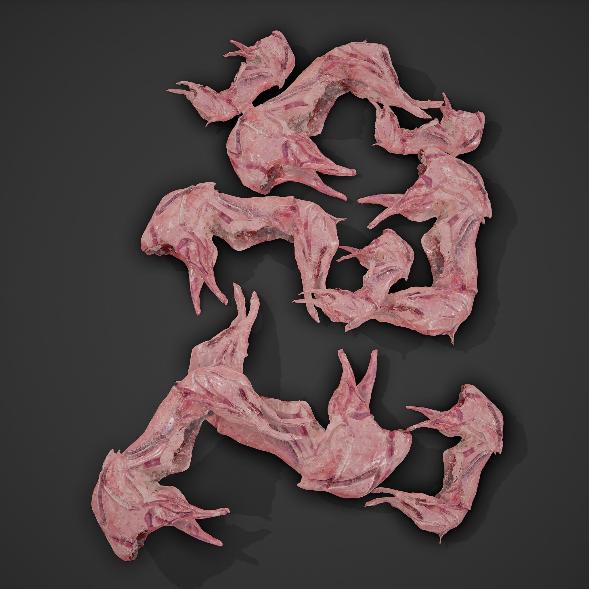 Skinned Rabbit Meat  3D model_5