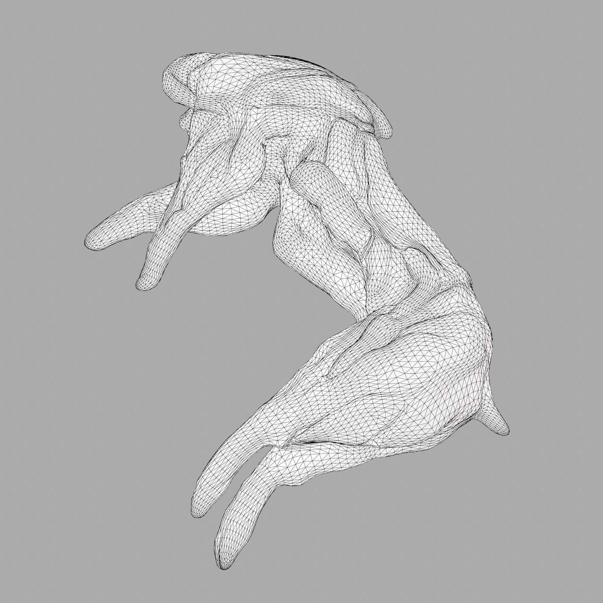 Skinned Rabbit Meat  3D model_21