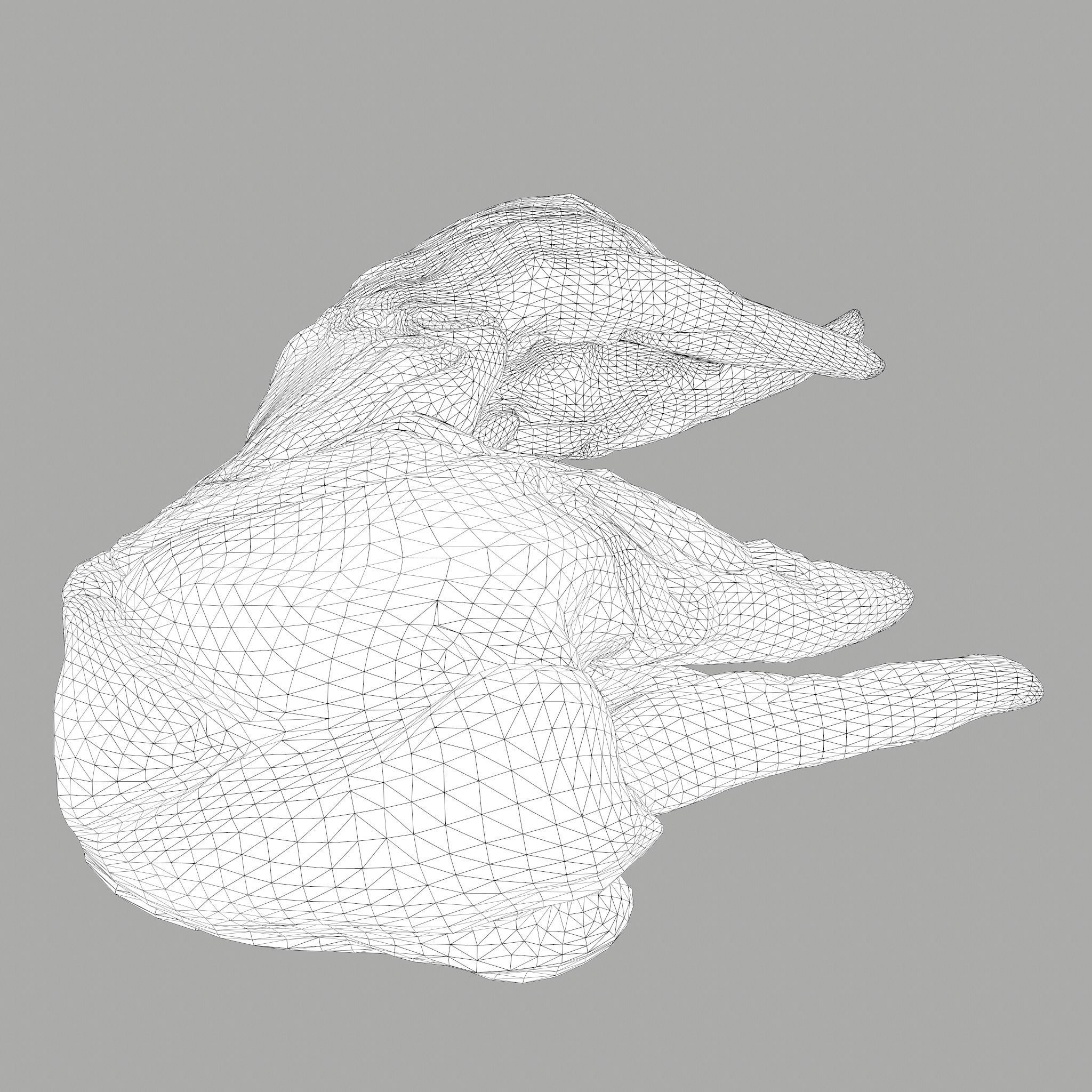 Skinned Rabbit Meat  3D model_28