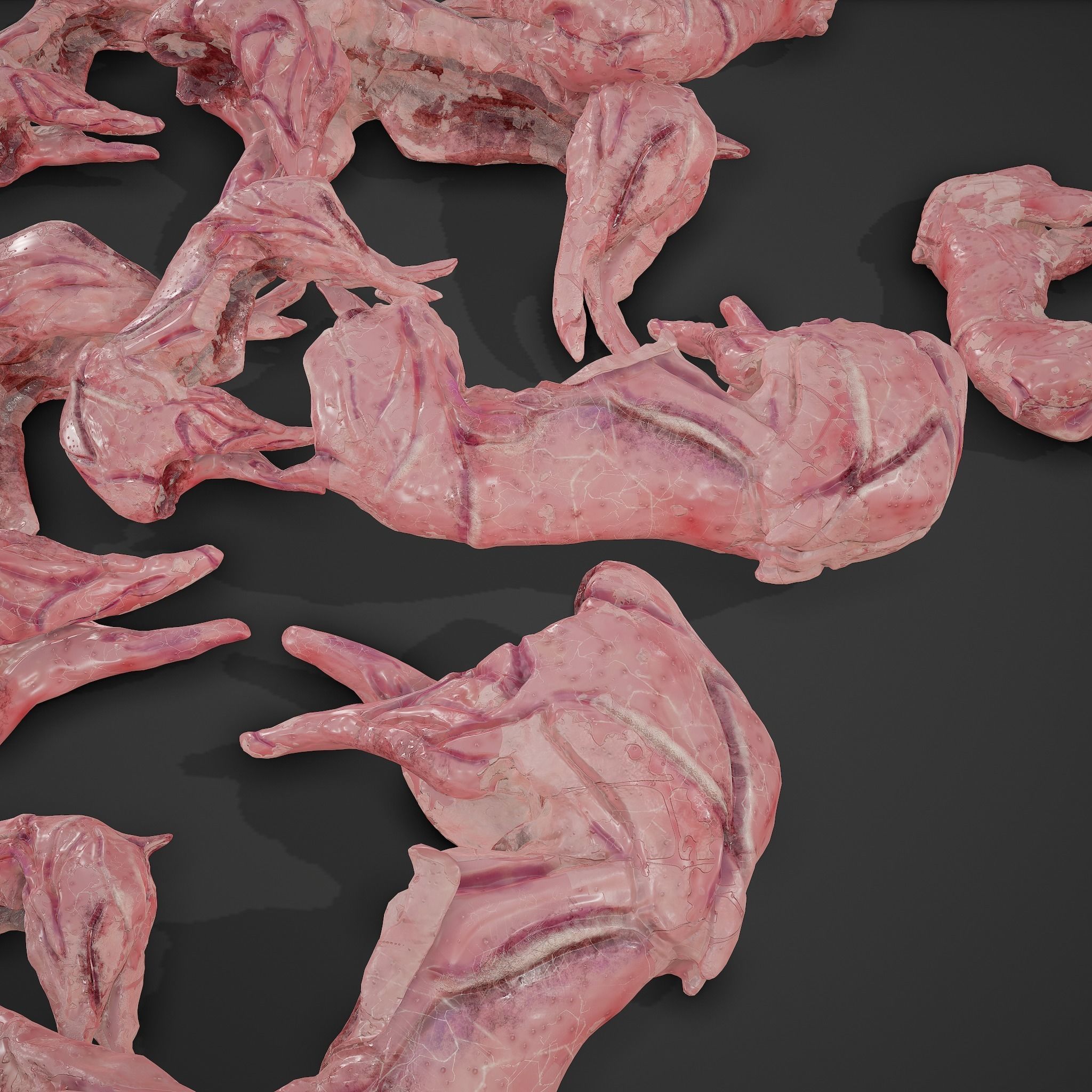 Skinned Rabbit Meat  3D model_19