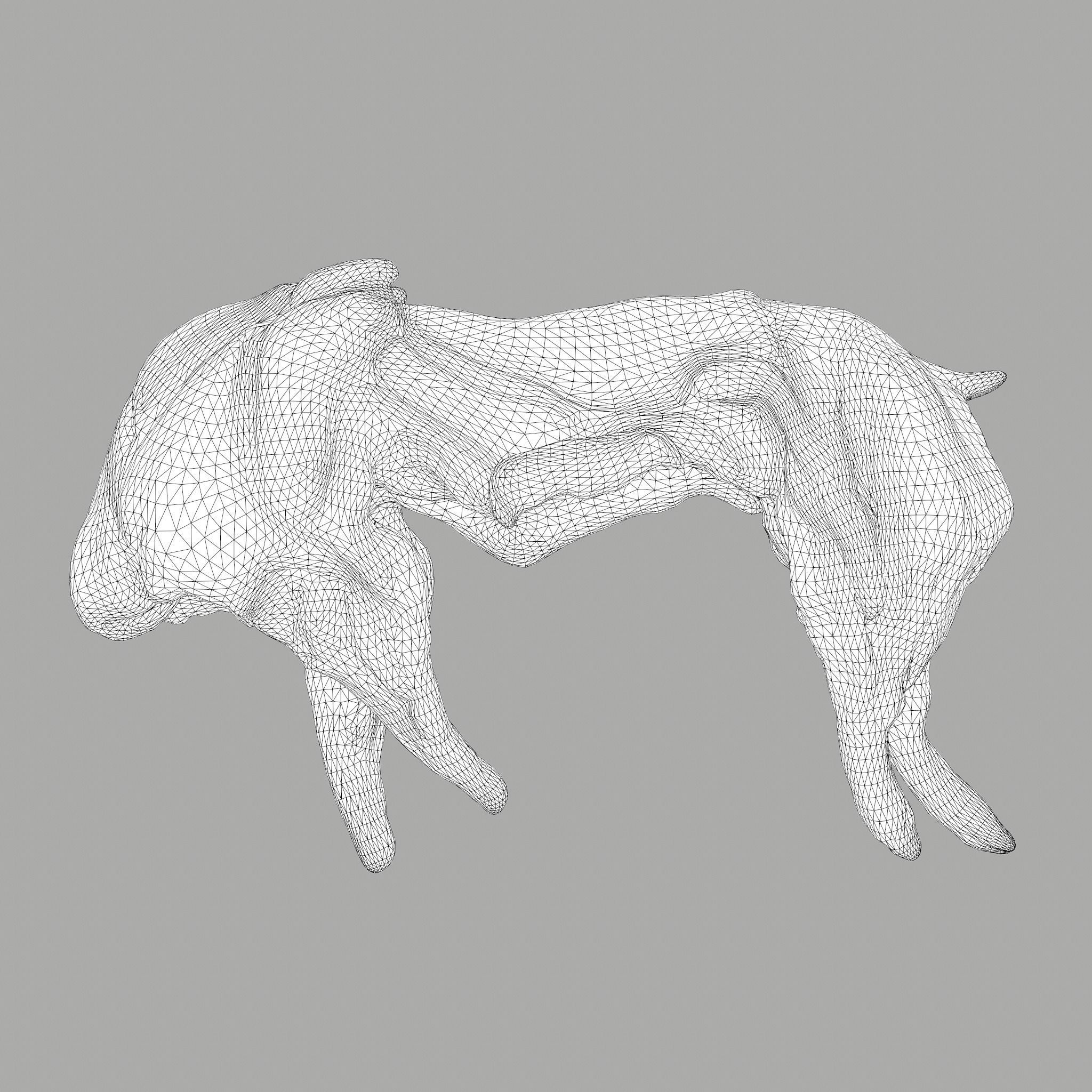 Skinned Rabbit Meat  3D model_30