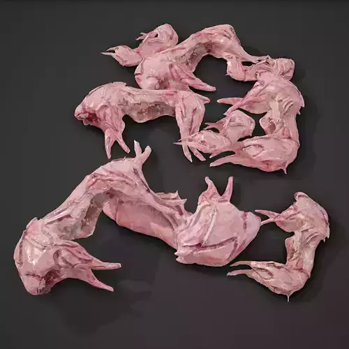 Skinned Rabbit Meat  3D model