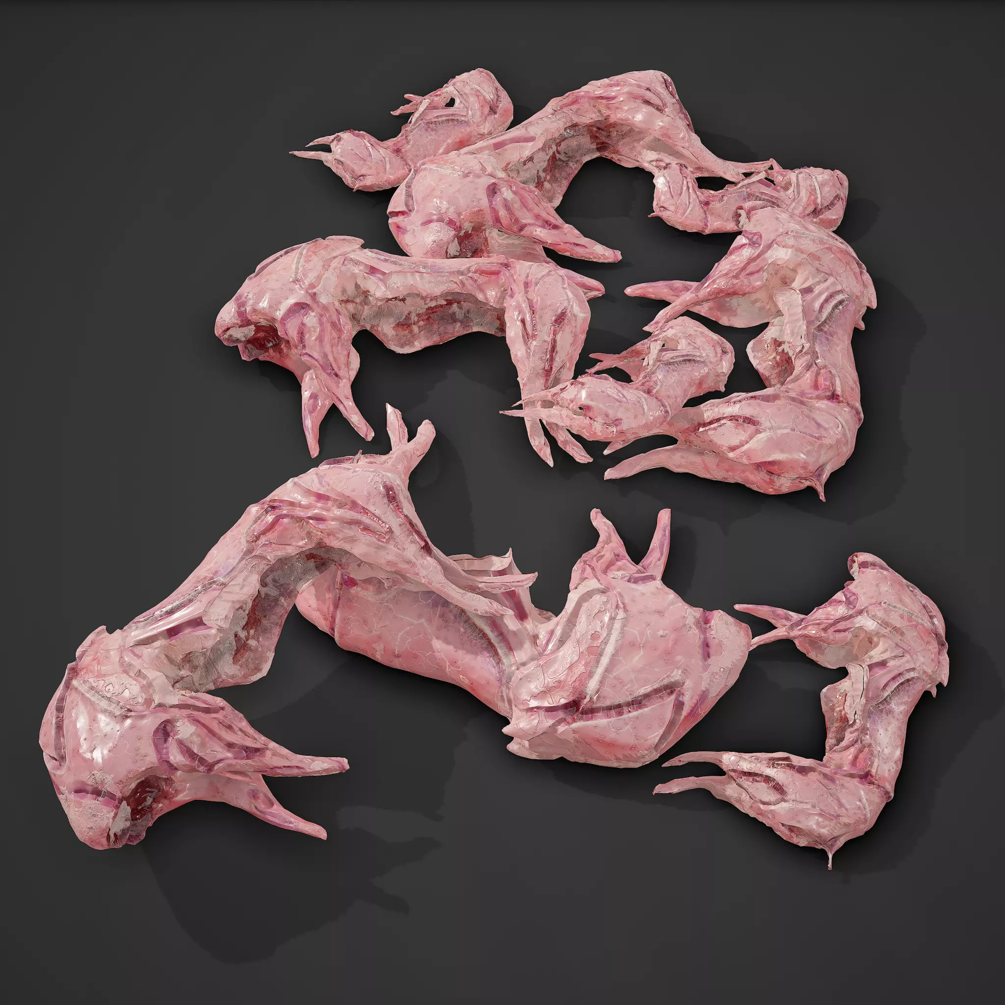 Skinned Rabbit Meat  3D model_0