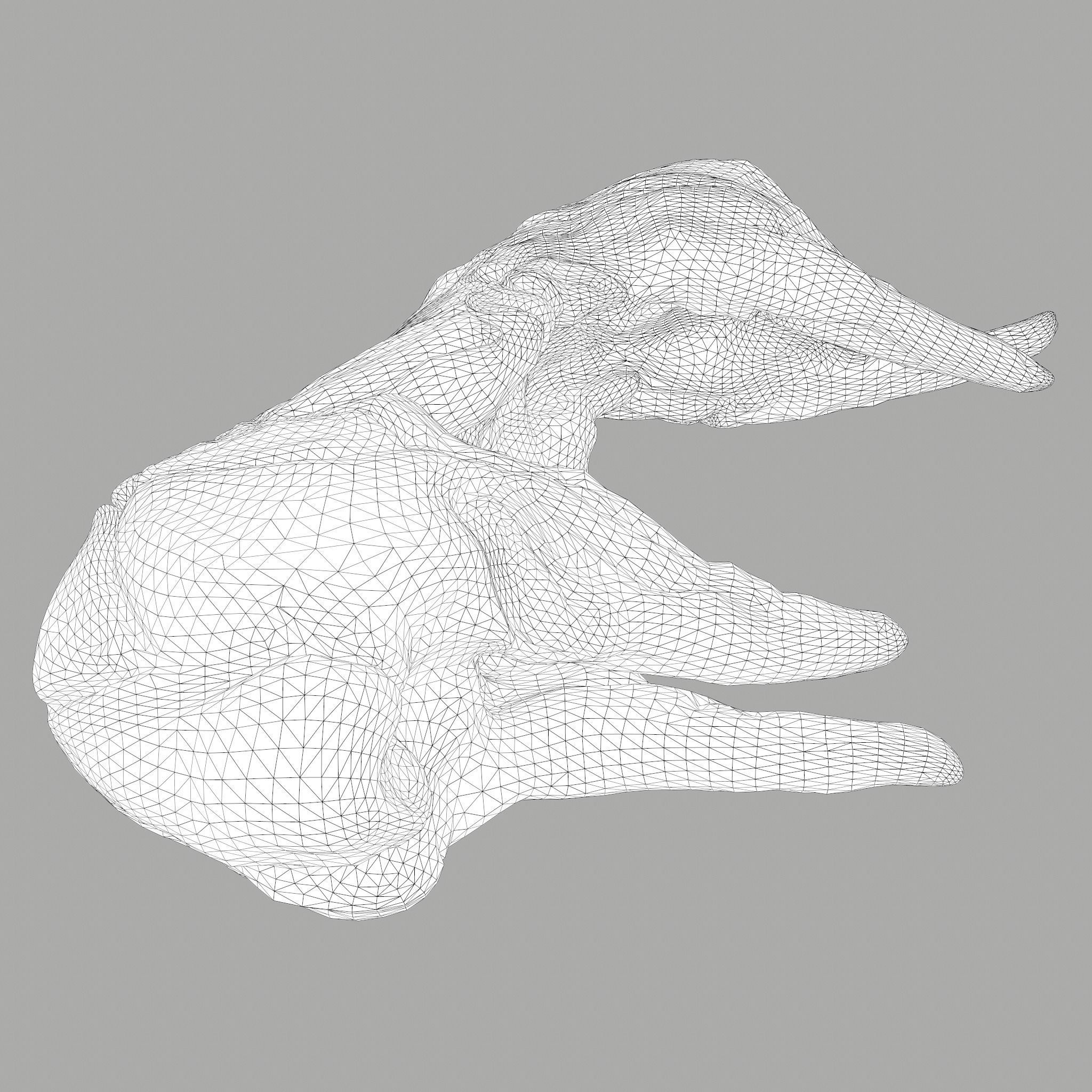 Skinned Rabbit Meat  3D model_33