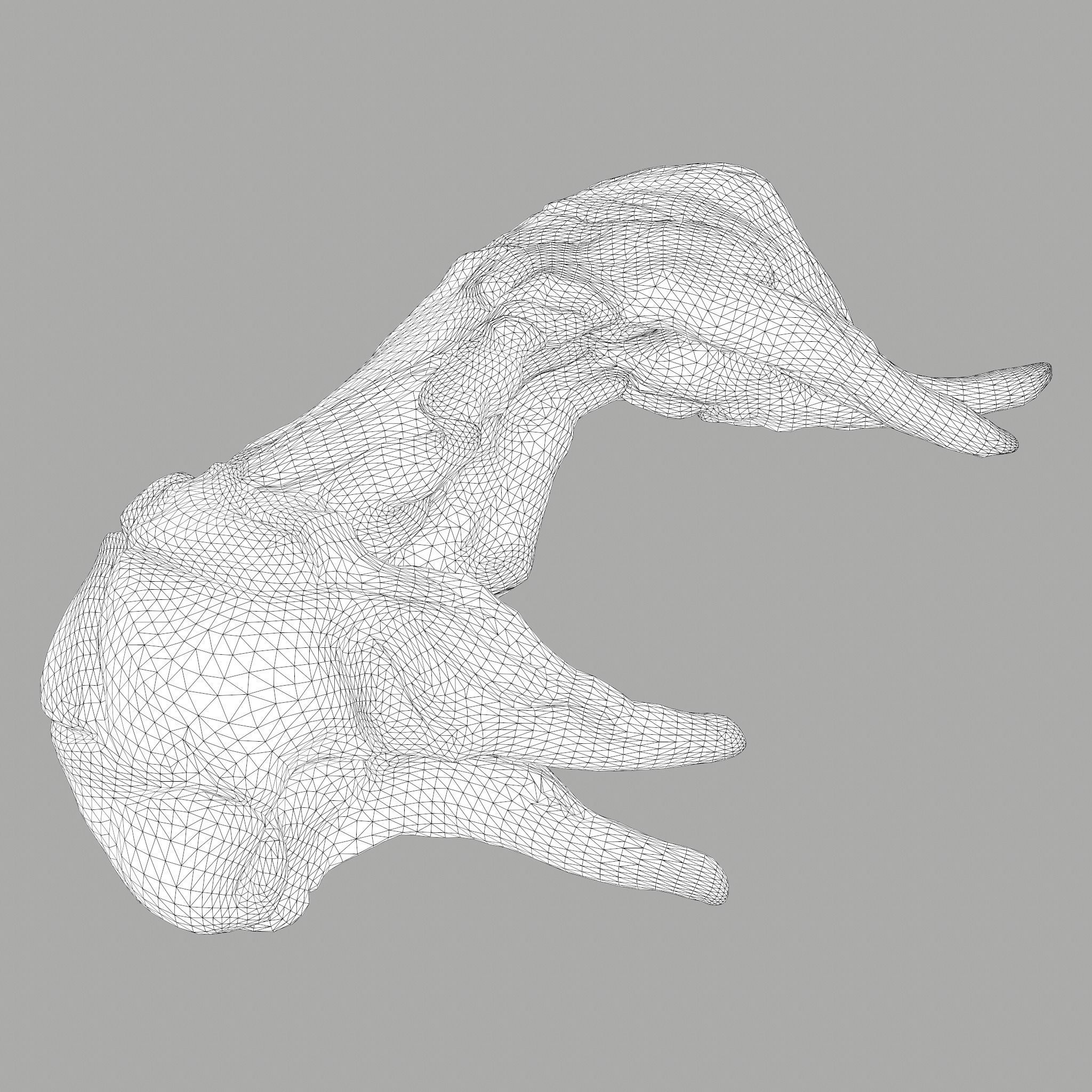 Skinned Rabbit Meat  3D model_29