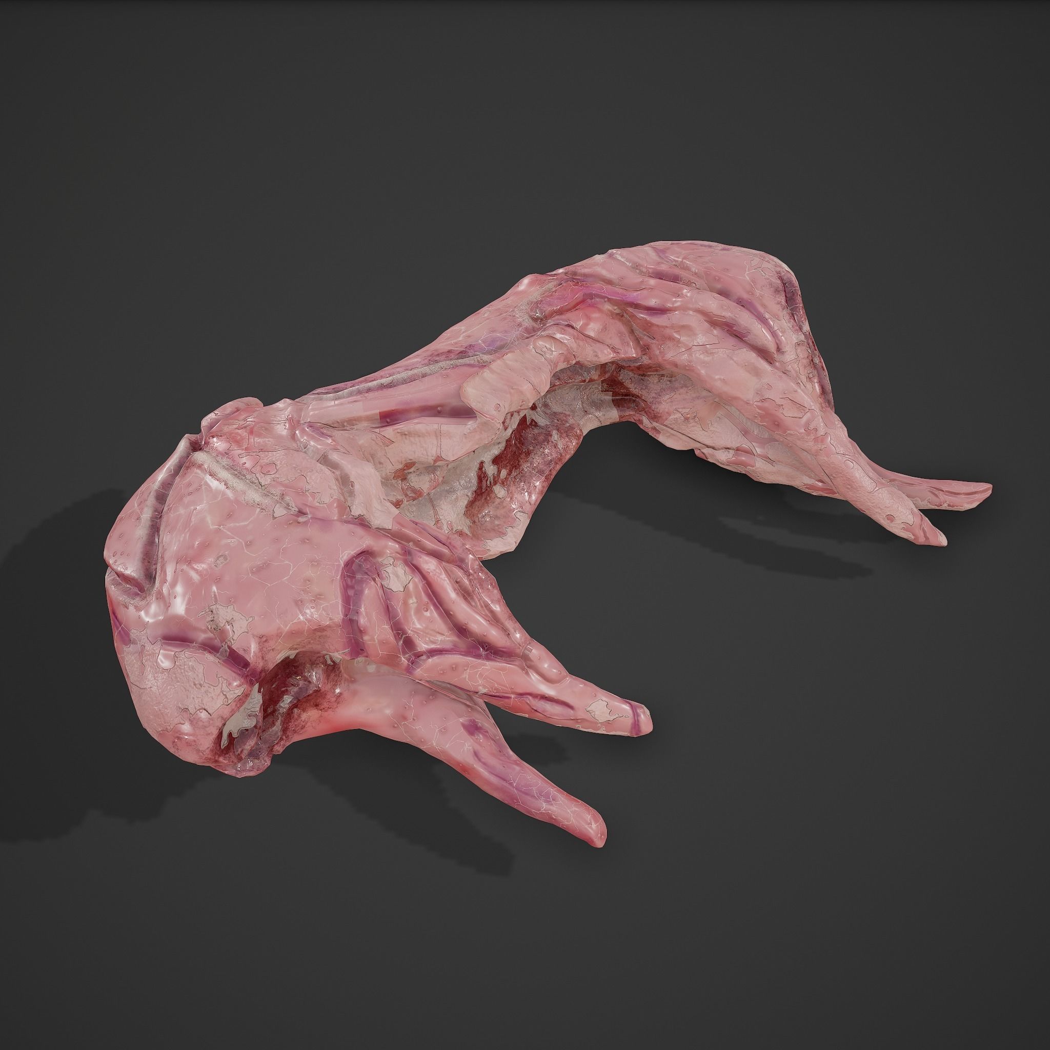 Skinned Rabbit Meat  3D model_2