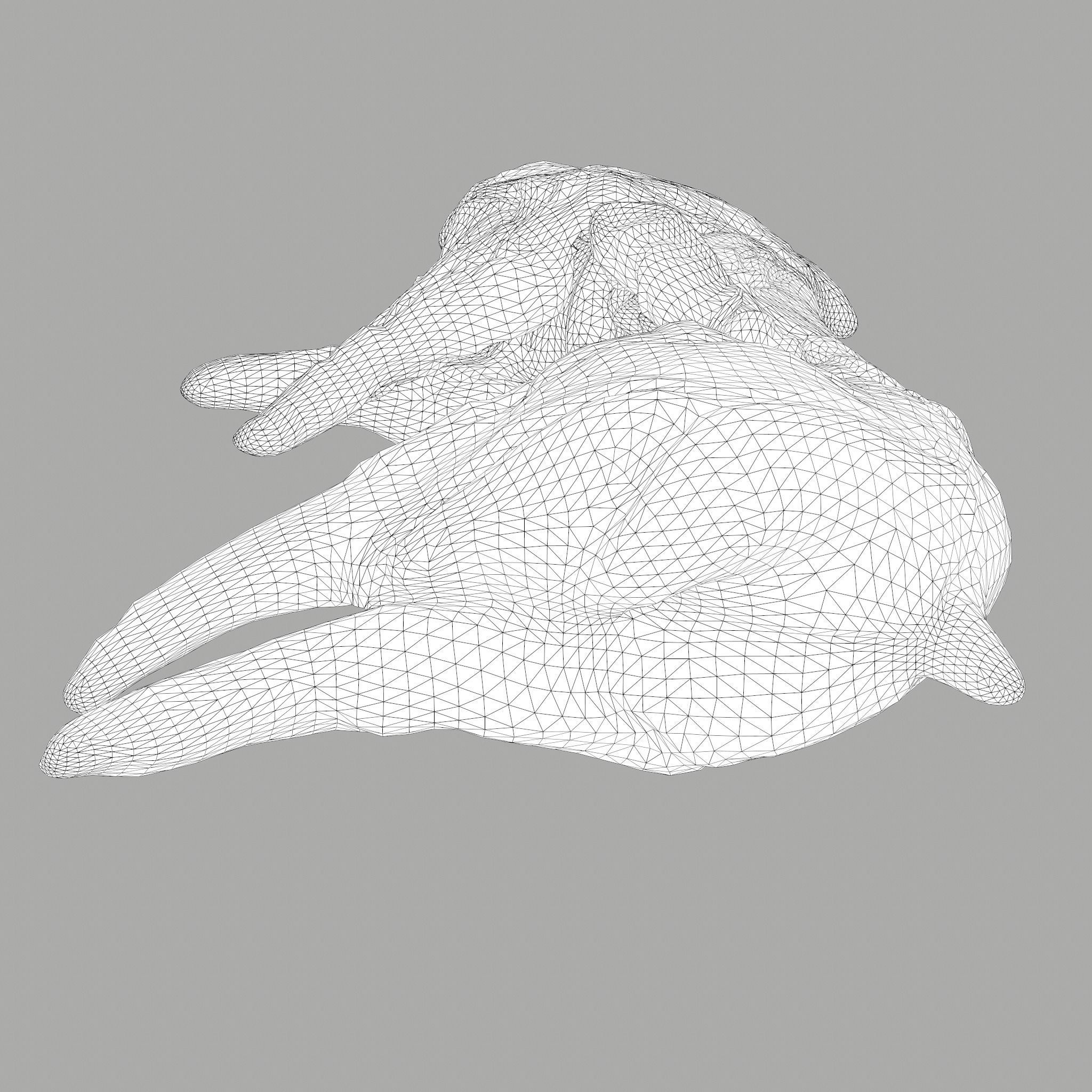 Skinned Rabbit Meat  3D model_32