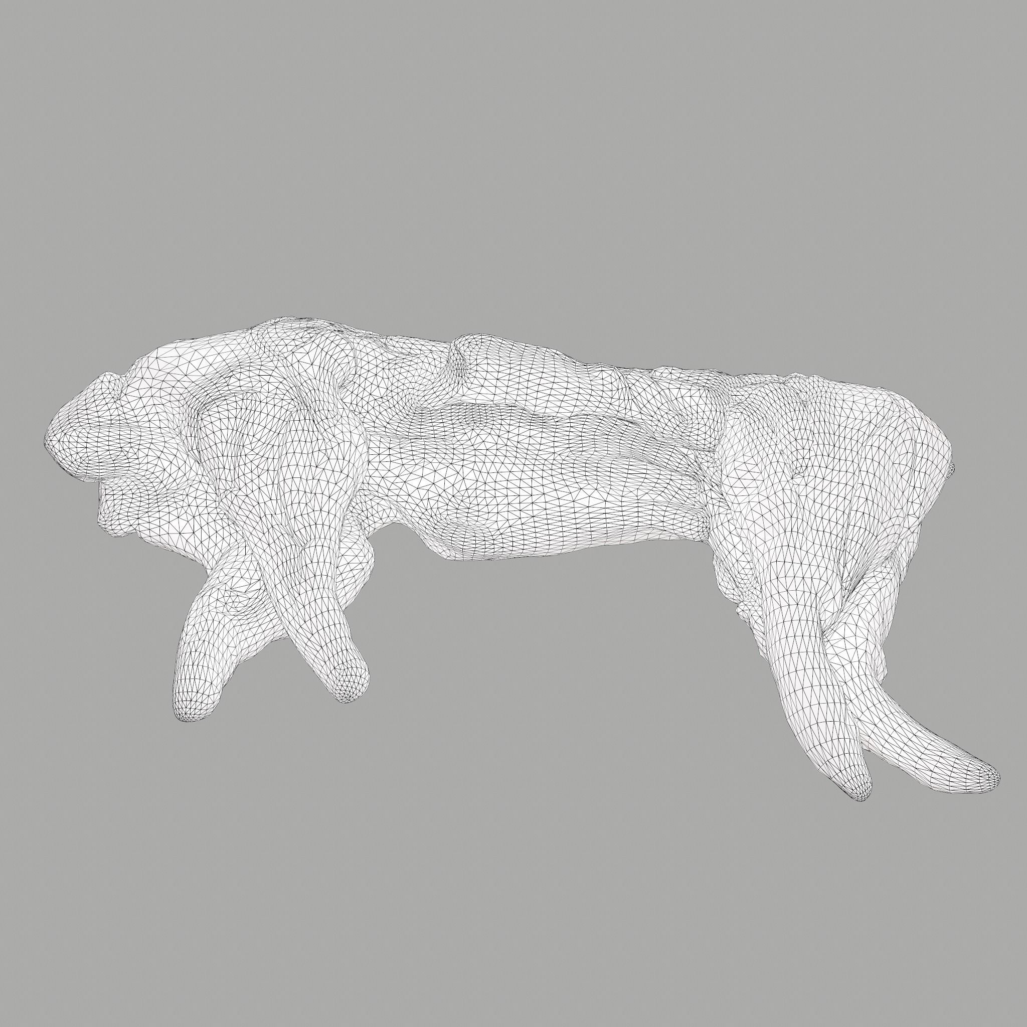 Skinned Rabbit Meat  3D model_23
