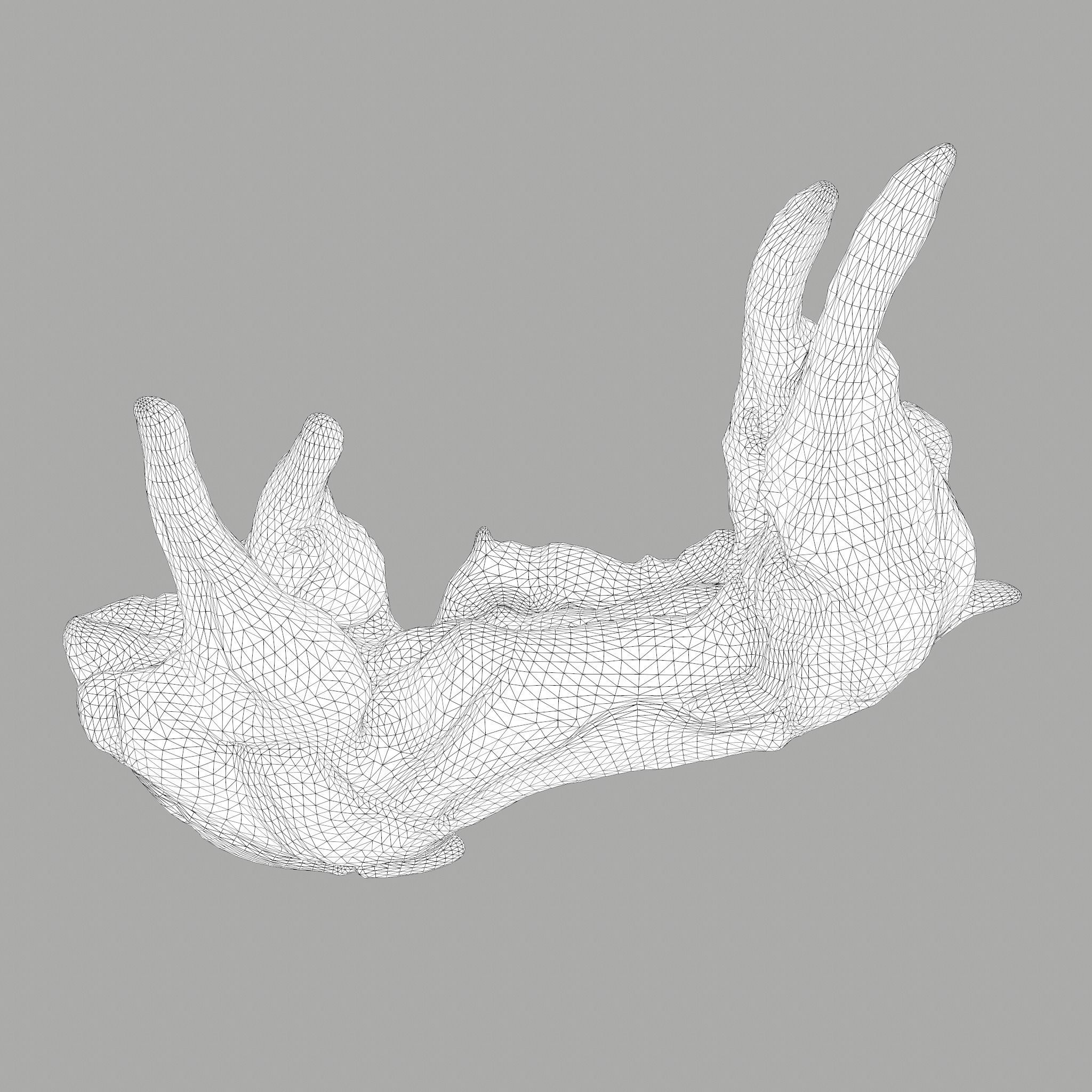 Skinned Rabbit Meat  3D model_25