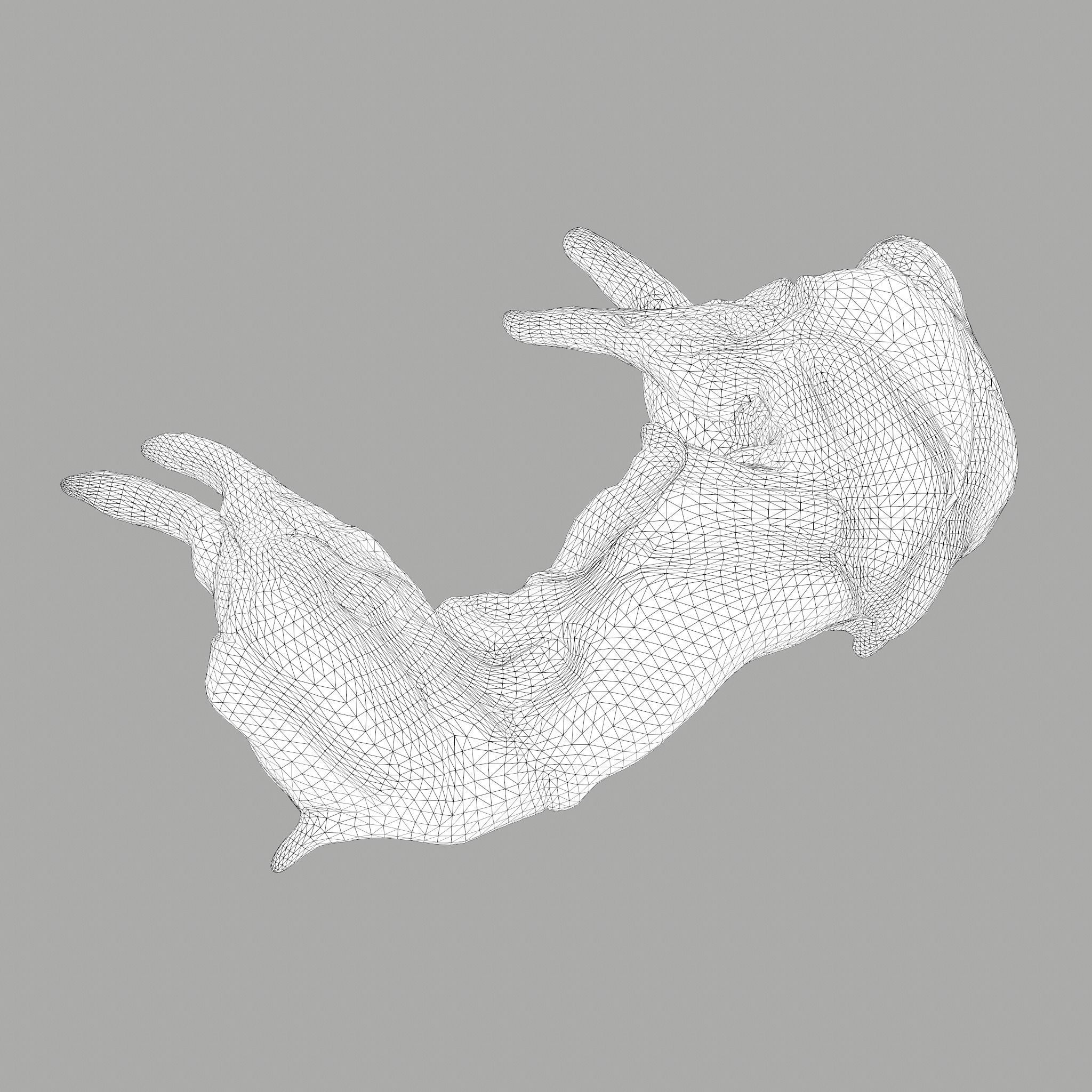 Skinned Rabbit Meat  3D model_27