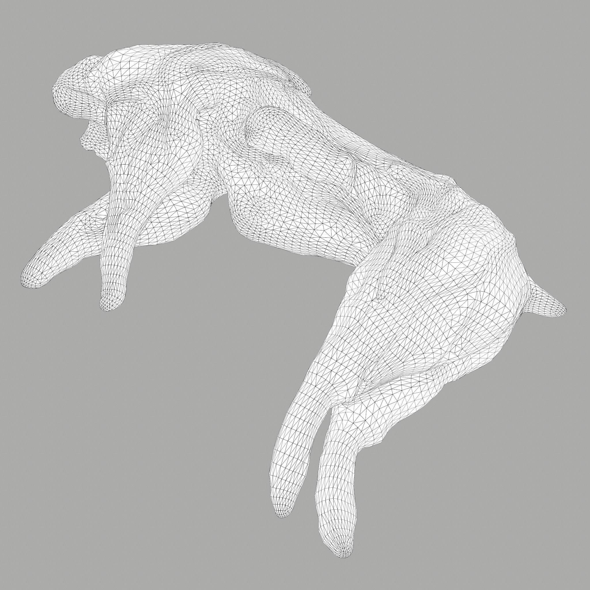 Skinned Rabbit Meat  3D model_31