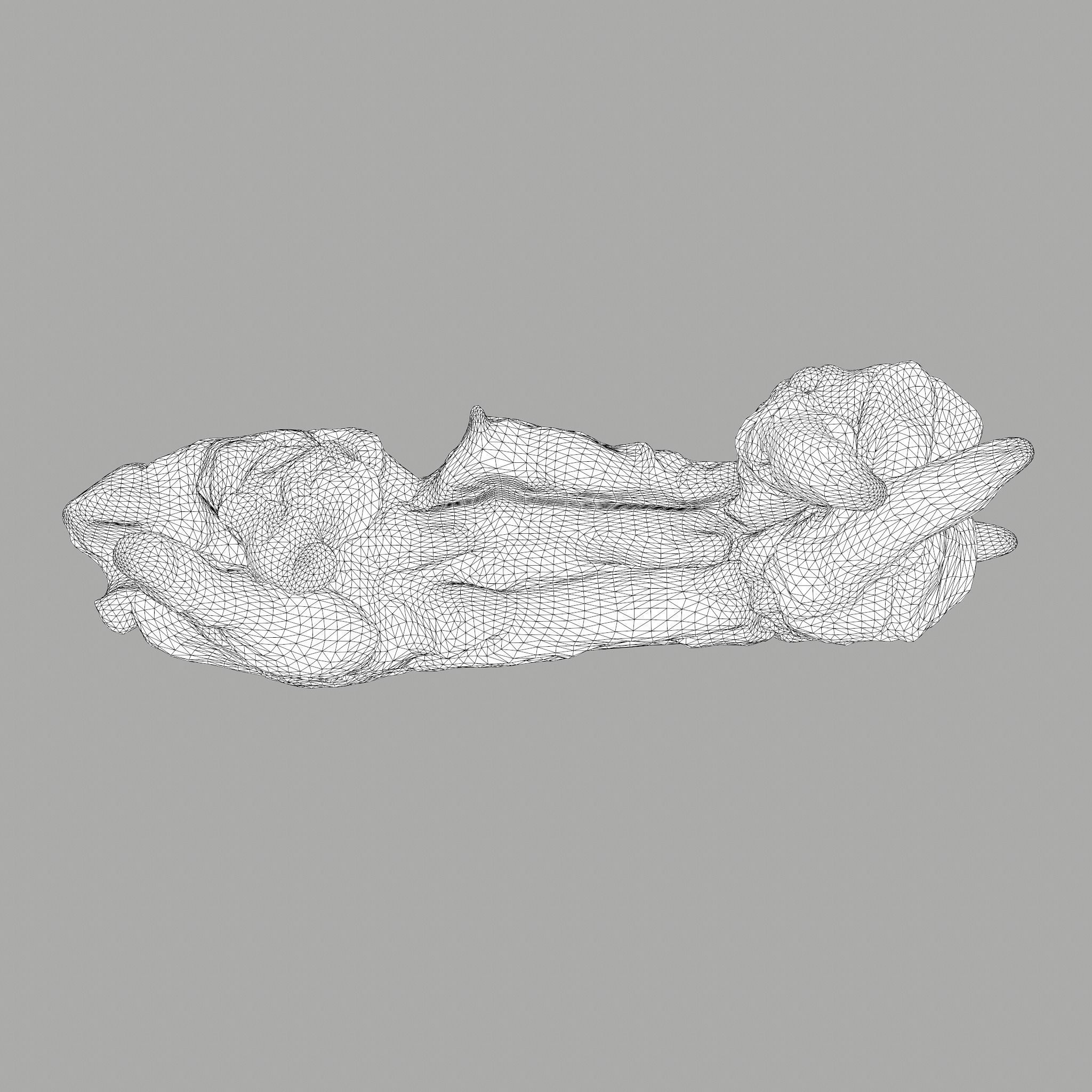 Skinned Rabbit Meat  3D model_24