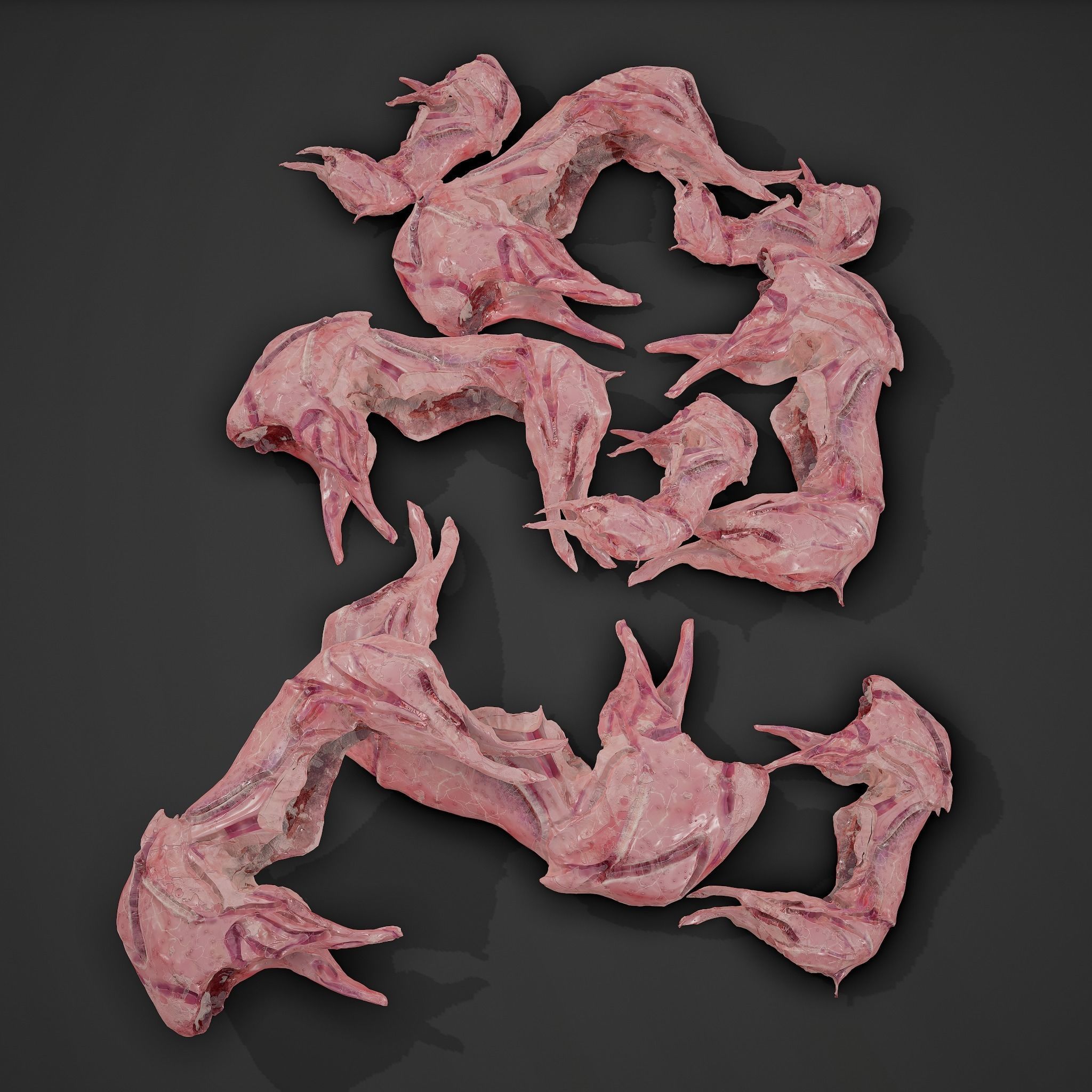 Skinned Rabbit Meat  3D model_3